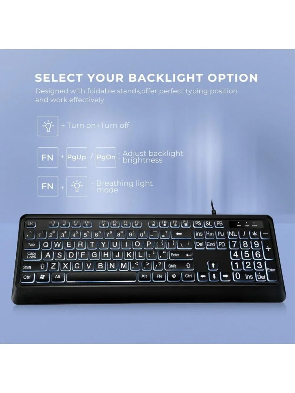 Large Print Backlit USB Keyboard - Full Size Illuminated LED for PC, Gaming
